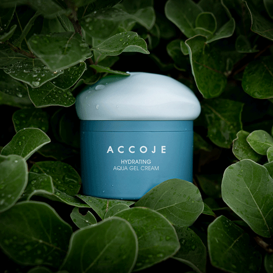 Увлажняющий крем-аквагель Accoje Hydrating Aqua Gel Cream 50мл